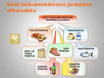 Toiduainetööstus - geograafia #9