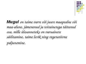 Mugul- ja köögiviljad #2