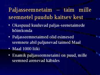 Paljasseemnetaimed #2