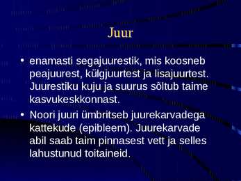 Paljasseemnetaimed #10