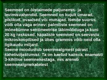 Seemned #3