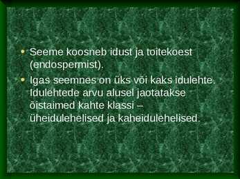 Seemned #4