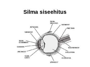 Silm #3
