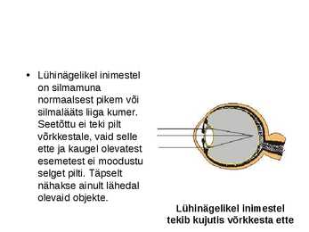 Silm #8