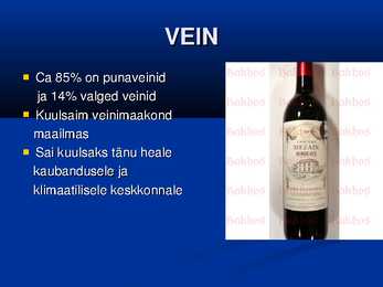 Bordeaux linna lühiülevaade powerpoint #5