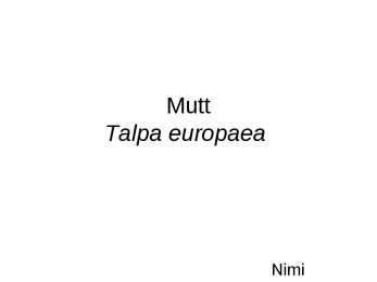 Mutt