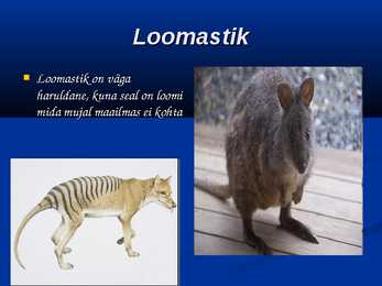 Tasmaania- slaidid- #9
