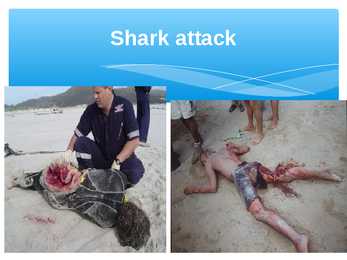 Presentation Sharks #10