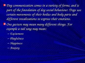 Dog Communication #2