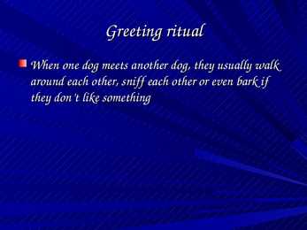 Dog Communication #3