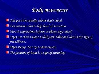 Dog Communication #4