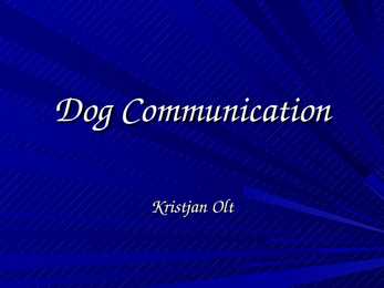Dog Communication