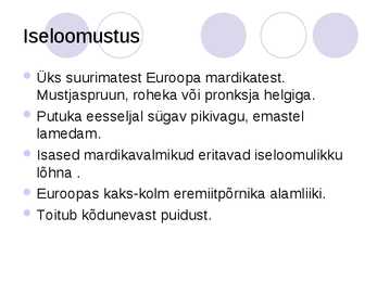 Eremiitpõrnikas #2