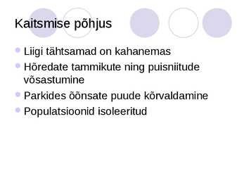 Eremiitpõrnikas #8