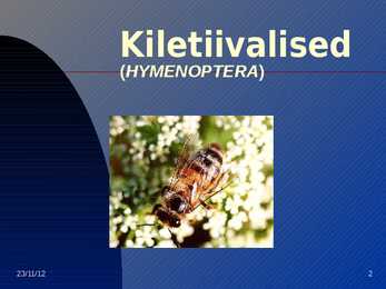 Kiletiivalised #2