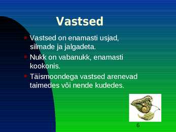 Kiletiivalised #6