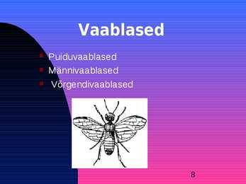 Kiletiivalised #8