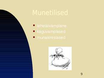 Kiletiivalised #9