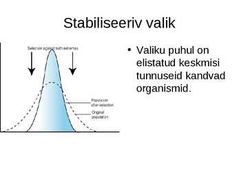 Slideshow-Looduslik valik #4