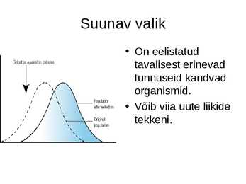 Slideshow-Looduslik valik #5