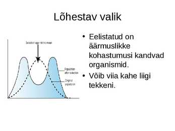 Slideshow-Looduslik valik #6