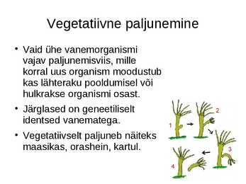 Organismide paljunemisviisid #2