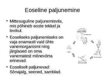 Organismide paljunemisviisid #3