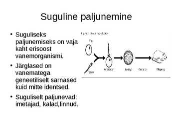 Organismide paljunemisviisid #4