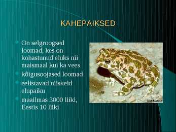 Kahepaiksed #2