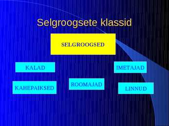 Imetajad #3