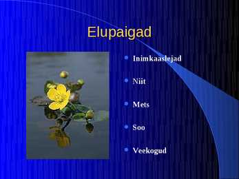 Imetajad #7