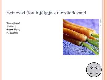 Powerpointi esitlus informaatikas - Figuurisõbrad #4