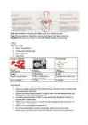 9-kl bioloogia eksami kordamismaterjal #25