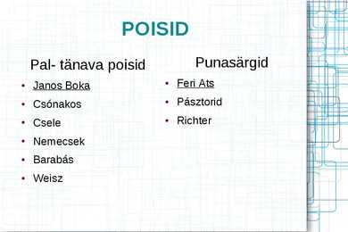 PAL-TÄNAVA POISID #6