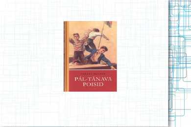 PAL-TÄNAVA POISID #8