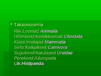 HIIDPANDA #3