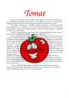 Tomat