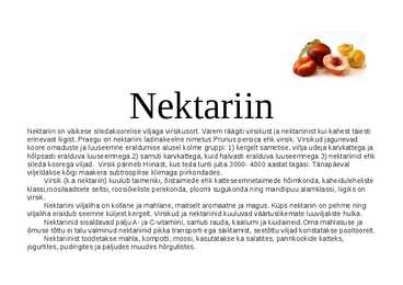 Nektariin
