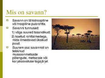 Savann #2