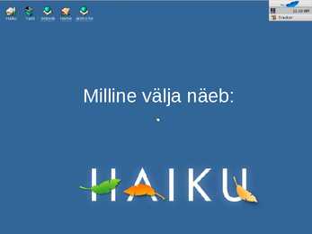 Haiku esitlus #11