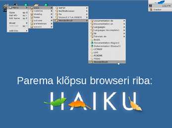 Haiku esitlus #17