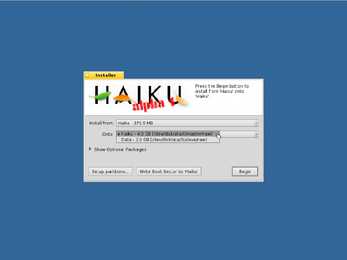 Haiku esitlus #9
