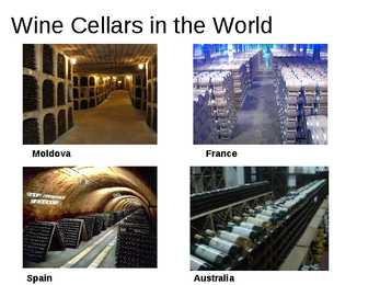 Wine tourism #7