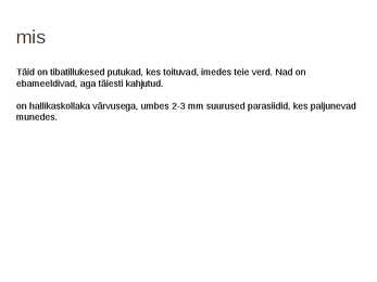 Kubemetäid #2