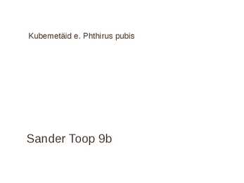 Kubemetäid