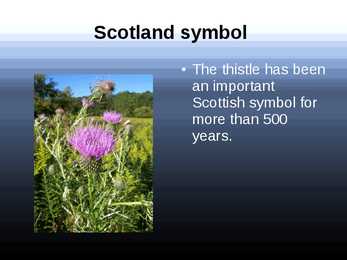 Scotland ettekanne #8
