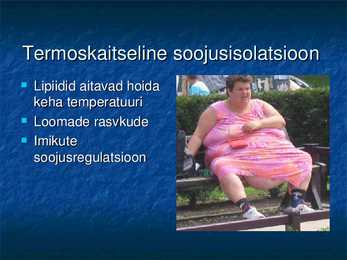 Rasvad inimkehas - powerpoint #3
