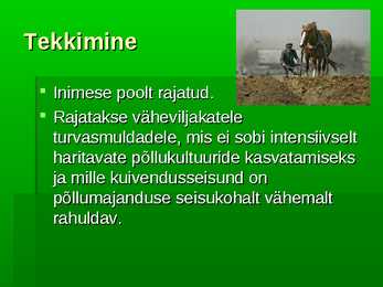Kultuurrohumaa #7