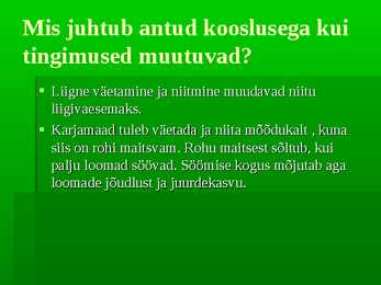 Kultuurrohumaa #9