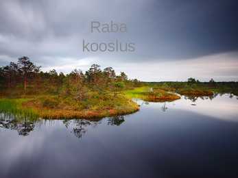 Raba kooslus